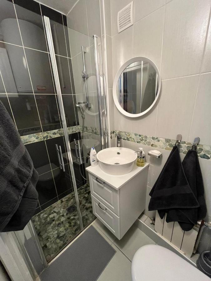 Superbe Appartement Au Hypercentre De Chambéry Dış mekan fotoğraf