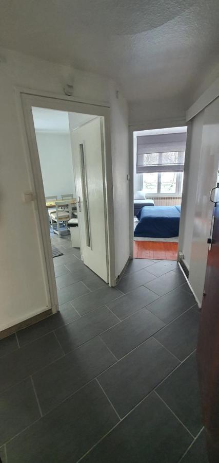 Superbe Appartement Au Hypercentre De Chambéry Dış mekan fotoğraf